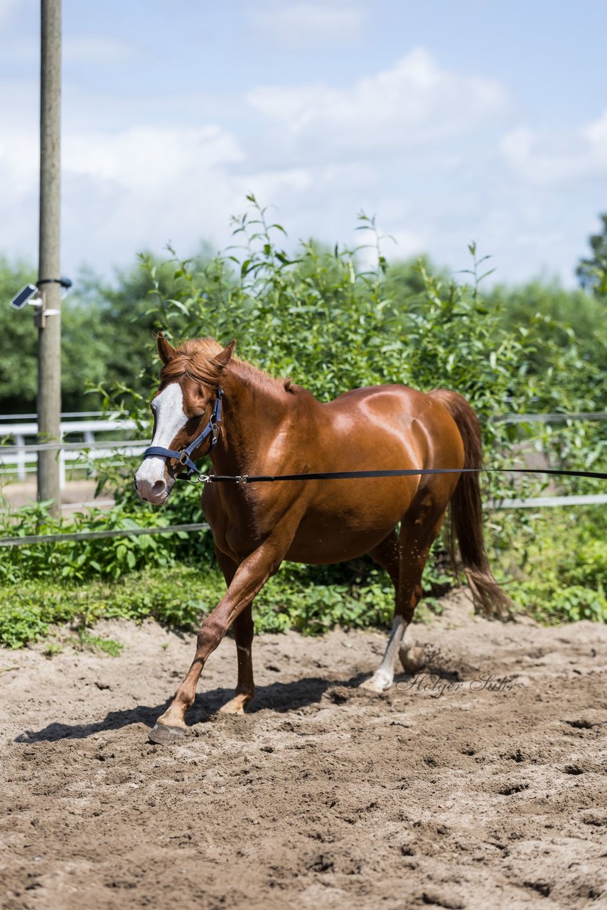 Bild 156 - Vivi
